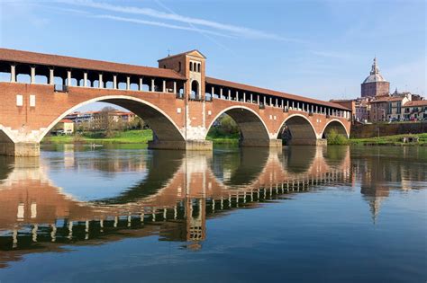 Pavia .